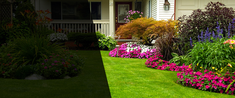 Window Rock Landscapers