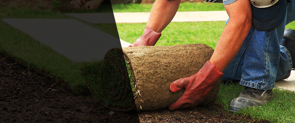 Window Rock Landscapers